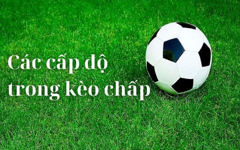 Các cấp độ trong kèo chấp